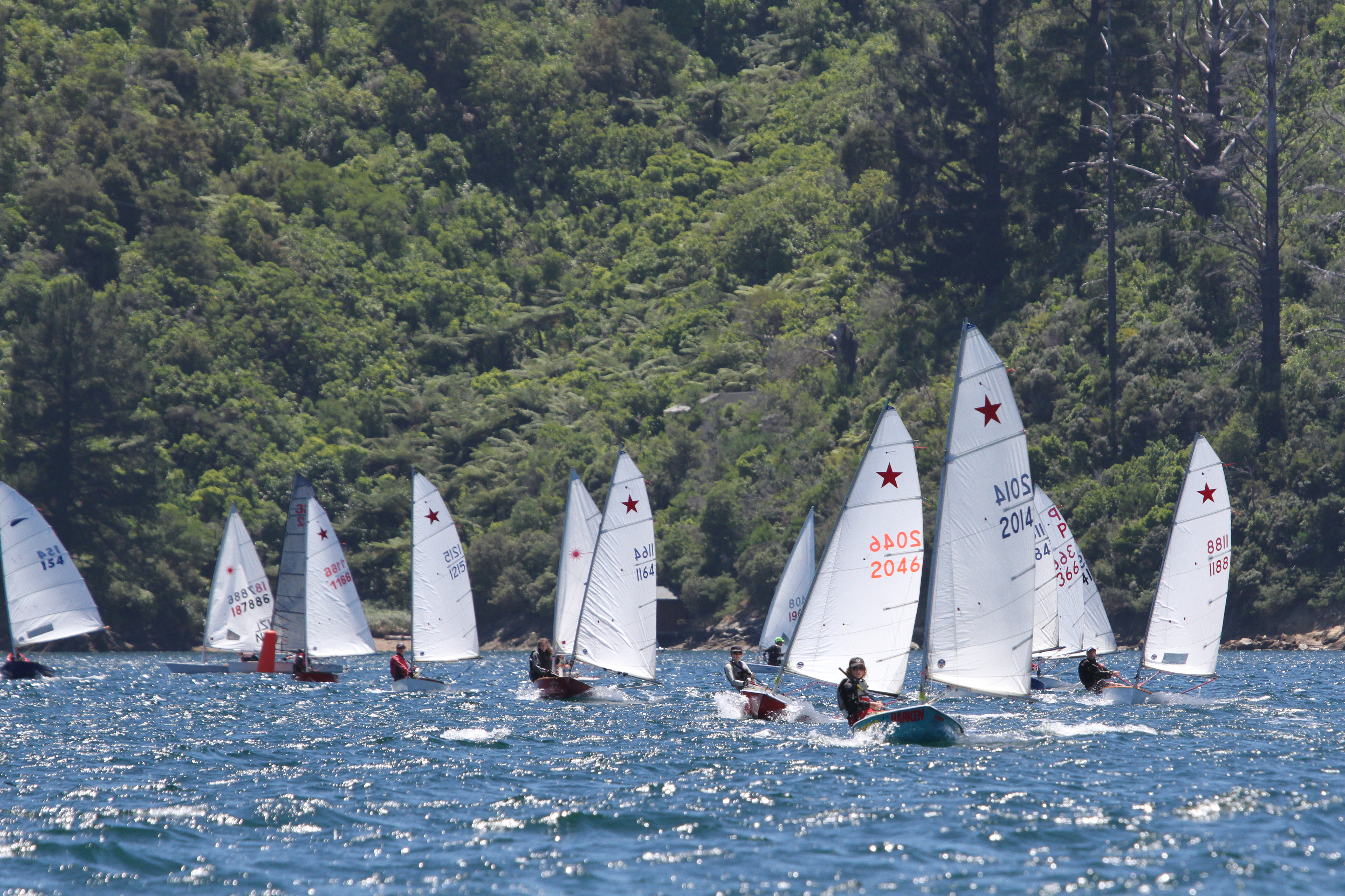 Starlings, P Class and Lasers on the top reach
